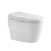 Smart Toilet-2230C